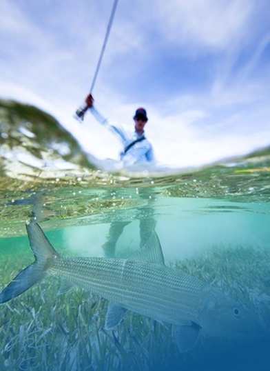 Fishing