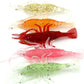 275-Piece Fishing Lure Kit (Frogs, Spoons, Grasshoppers) for Bass, Trout & Salmon